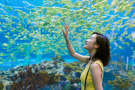 青年女性假期游玩海洋水族馆海洋馆高清图片素材