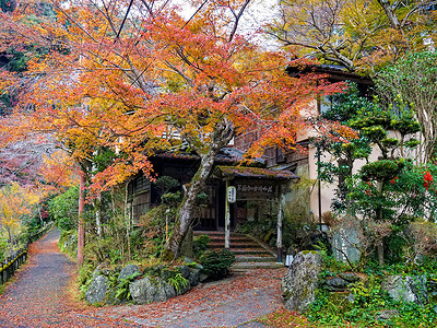 日本大阪秋色背景图片