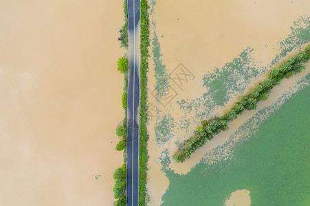 航拍台风后的天目湖国家湿地公园图片