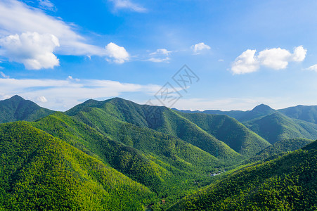 5A风景区天目湖南山竹海高清图片