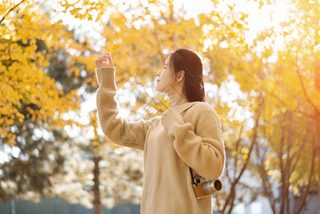 秋天的银杏与少女高清图片