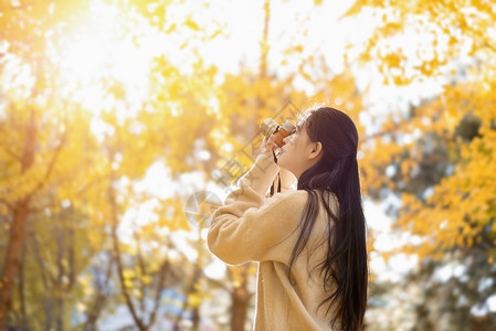 秋天的银杏与少女高清图片