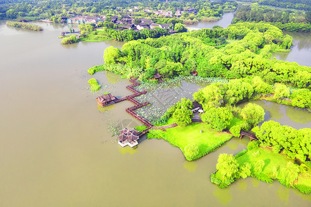 5A风景区常熟沙家浜风景区背景图片