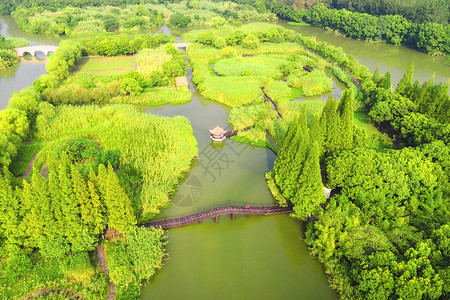 5A风景区常熟沙家浜风景区背景图片