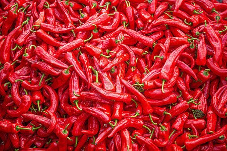 秋收的红辣椒背景图片