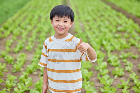 在蔬菜大棚的小男孩点赞图片