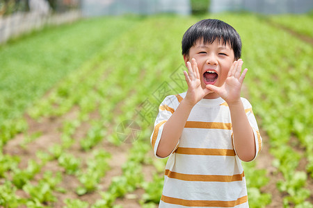在蔬菜大棚里玩耍嬉闹的小男孩呐喊图片