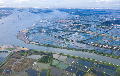 鱼塘养殖村落养殖鱼塘背景