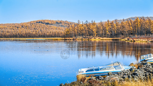 阿尔山杜鹃湖秋景背景