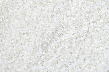 稻花香水稻食材静物大米稻米背景