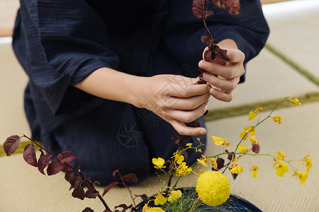 日系男性花艺师调整花枝局部特写图片