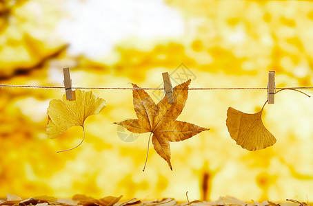 秋天氛围下的落叶图片