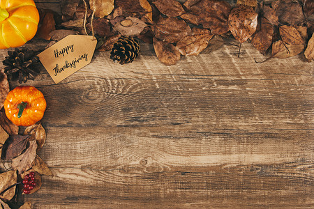 木质纹理上的秋季静物背景图片