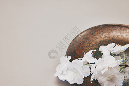 落花和复古陶瓷碗背景图片