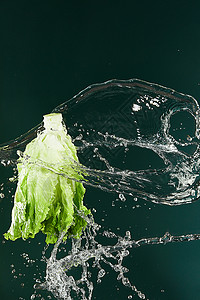 刀叶石斛被水淋到的新鲜生菜背景