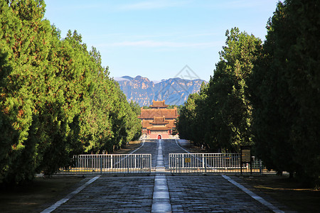 5A景区清西陵泰陵神道背景图片