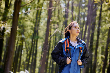 徒步女生独自穿越森林高清图片