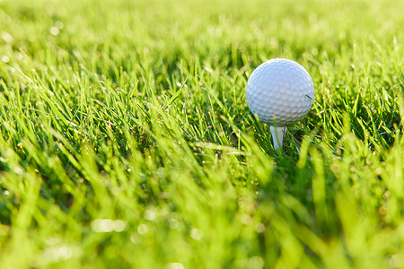 ps素材树球草坪上的高尔夫球背景