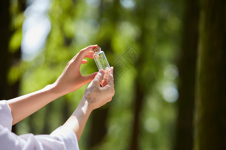 人物素材收集采集植物样本手部特写背景