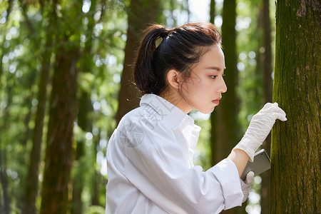 观察并记录植物的科学家背景图片