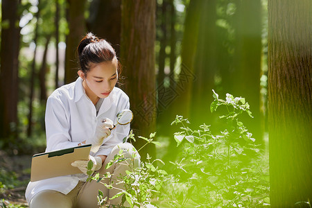 竞品调研使用放大镜观察并记录植物的科学家背景