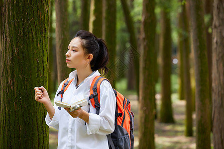 森林里记录植物的科学家背景图片