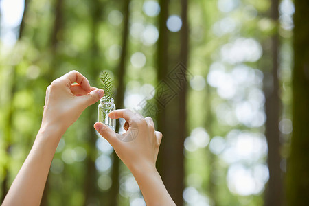 农业人才采集植物样本手部特写背景