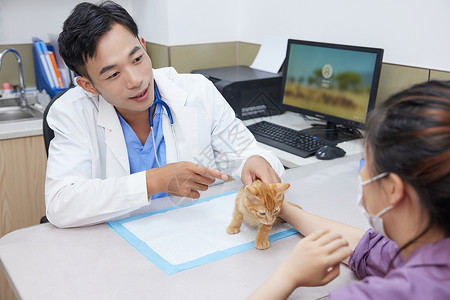 兽医与宠物主人讨论猫咪病情图片