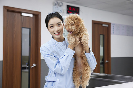 宠物医院护士与狗狗图片