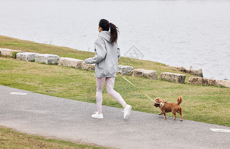 在湖畔牵着狗跑步的美女背景图片