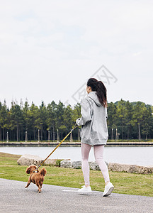 在公园跑步健身在湖畔牵着狗跑步的美女背景