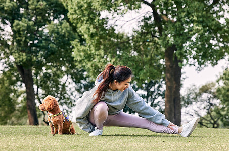 在公园跑步健身泰迪陪伴在做拉伸运动的女主人身边背景