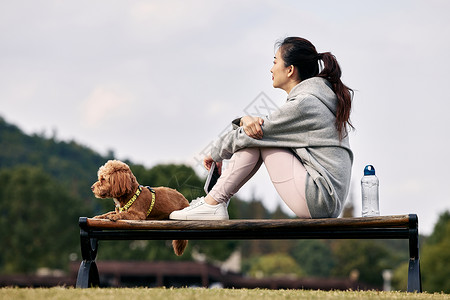 狗跑步坐在长椅上放松的运动少女和萌宠泰迪背景