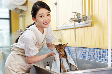 宠物店女性技师给宠物猫洗澡擦干身子图片