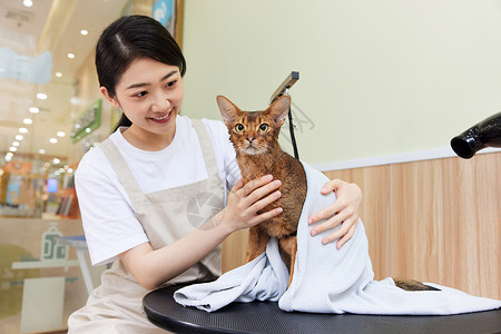 宠物店女性技师给宠物猫擦干身体高清图片