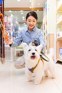 宠物用品商店美女主人带宠物狗逛宠物用品店背景