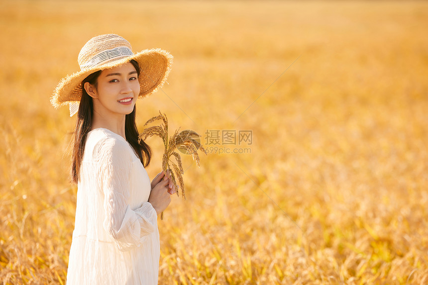 穿着连衣裙走在稻田里的少女图片