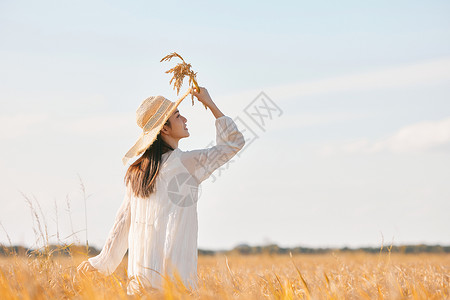 秋季少女穿着连衣裙走在稻田里的少女背景