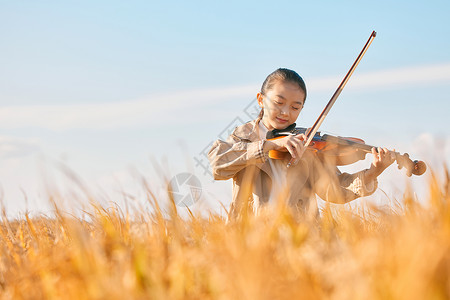 在稻田里演奏小提琴的小女孩图片