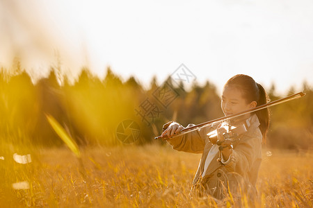 种水稻女孩小女孩在田野里演奏小提琴背景