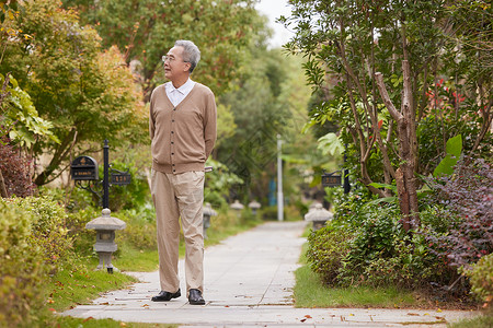 老年人小区散步欣赏花草高清图片