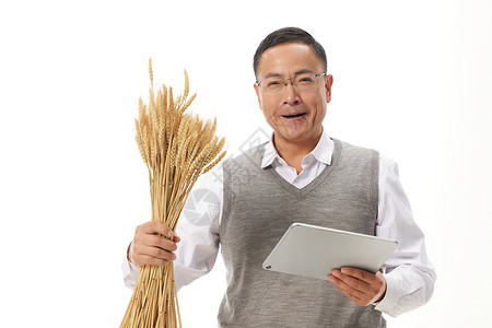 农业科研专家稻田里研究水稻五一高清图片素材
