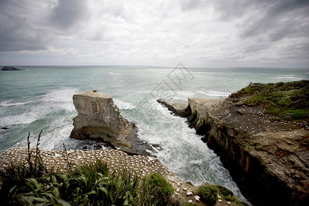 浸在海水中的悬崖状岩石图片