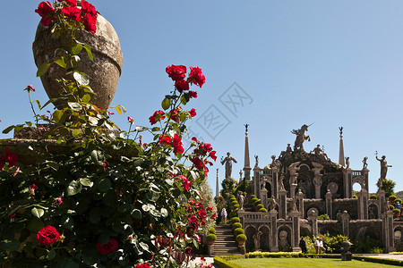 雕像前的红色花朵玫瑰图片