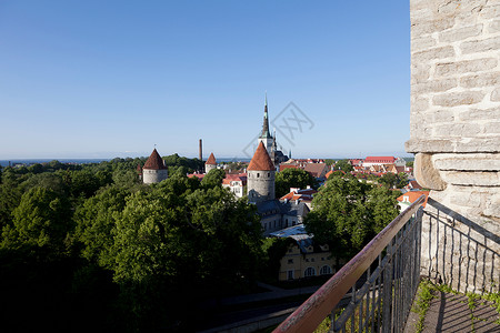 爱沙尼亚中世纪城市的建筑群图片