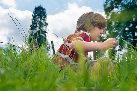 男孩在草地上玩耍图片