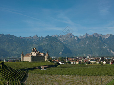 中世纪城堡和葡萄园图片