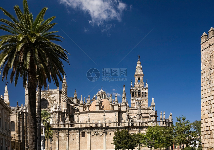 西班牙塞维利亚哥特大教堂图片