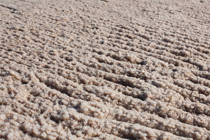 以色列死海岸的盐水晶体图片