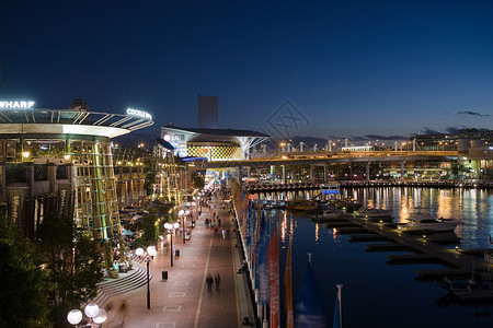 悉尼情人港夜间的蜂蜜港口背景